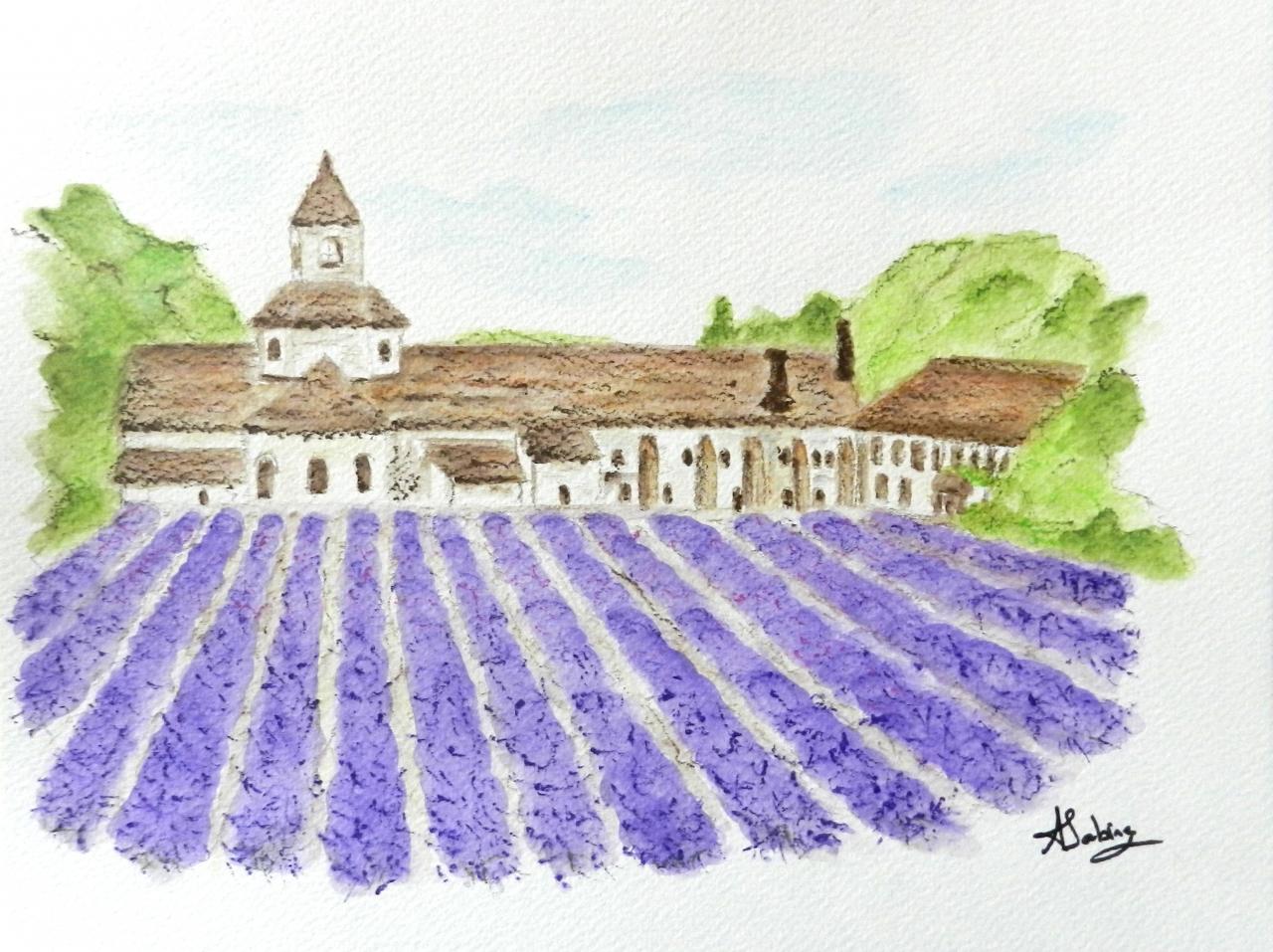 Provence abbaye de senanque