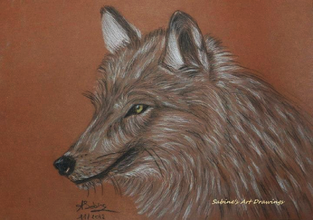 LE LOUP